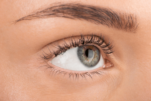 Результат применения ADVANCED Lash через 20 дней